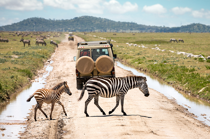 Serengeti, Tanzania