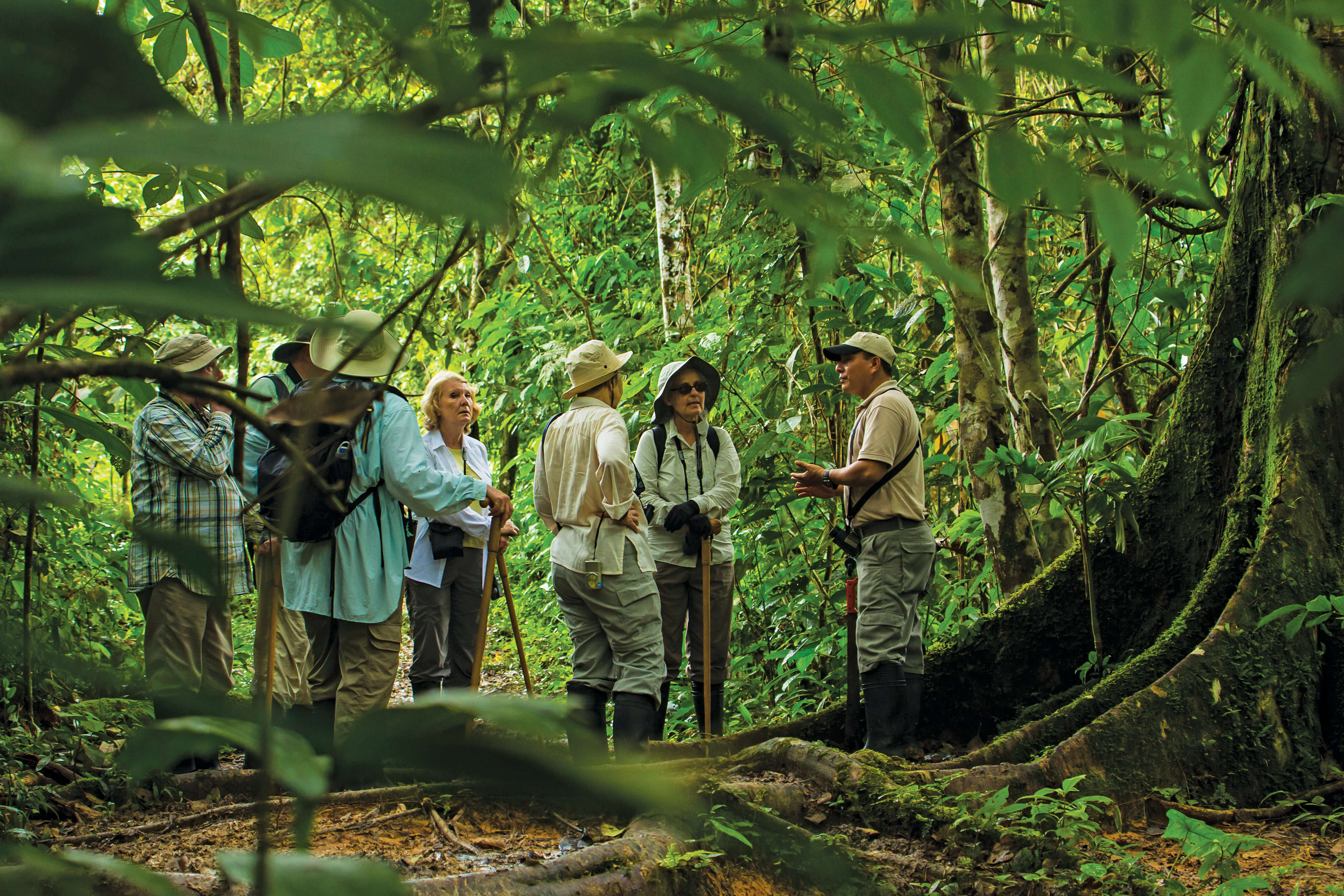 Amazon Jungle Expedition